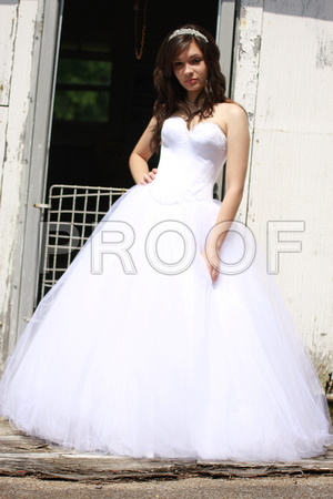 Beatriz Corrales Quinceanera by MomentsByMoser (12)