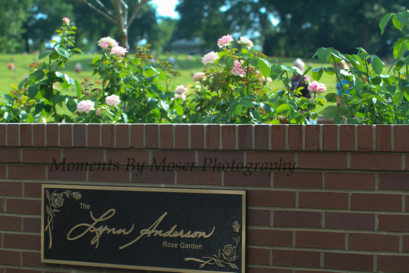 Lynn Anderson Rose Garden Dedication © Moments By Moser Photography 5