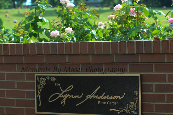 Lynn Anderson Rose Garden Dedication © Moments By Moser Photography 7