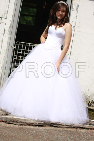 Beatriz Corrales Quinceanera by MomentsByMoser (19)