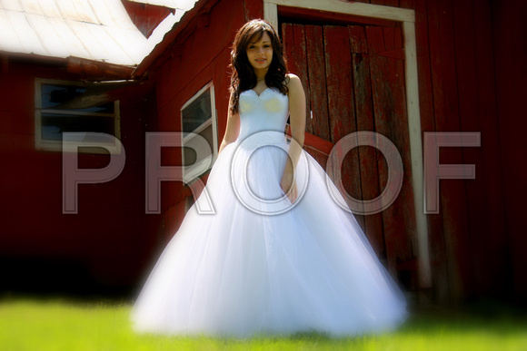 Beatriz Corrales Quinceanera by MomentsByMoser (127)