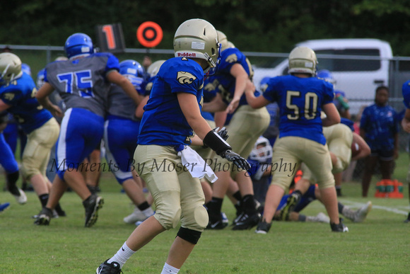 vs Lewisburg Lost 14 - 6 © Moments By Moser Photography  113