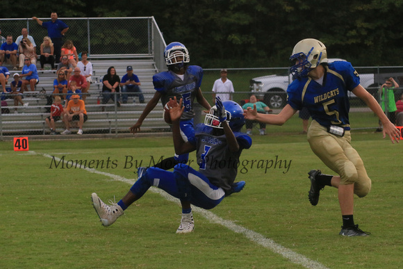 vs Lewisburg Lost 14 - 6 © Moments By Moser Photography  149