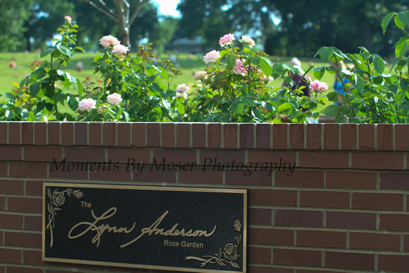 Lynn Anderson Rose Garden Dedication © Moments By Moser Photography 6