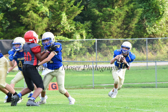 Wildcats vs EA COX 8-9-18 © Moments By Moser Photography 7