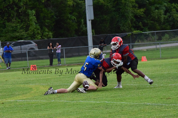 Wildcats vs EA COX 8-9-18 © Moments By Moser Photography 57