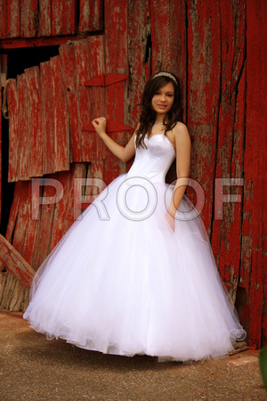 Beatriz Corrales Quinceanera by MomentsByMoser (223)