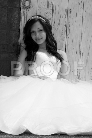 Beatriz Corrales Quinceanera by MomentsByMoser (306)