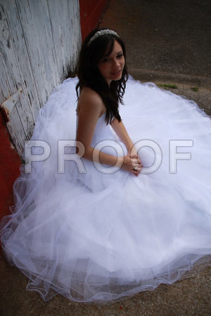 Beatriz Corrales Quinceanera by MomentsByMoser (265)