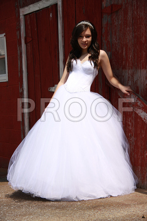 Beatriz Corrales Quinceanera by MomentsByMoser (208)