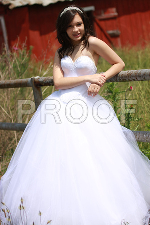 Beatriz Corrales Quinceanera by MomentsByMoser (86)