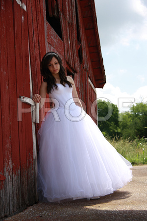 Beatriz Corrales Quinceanera by MomentsByMoser (183)