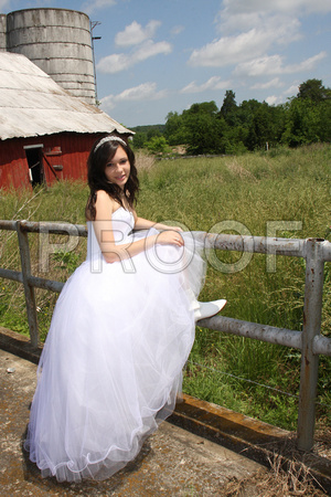 Beatriz Corrales Quinceanera by MomentsByMoser (411)