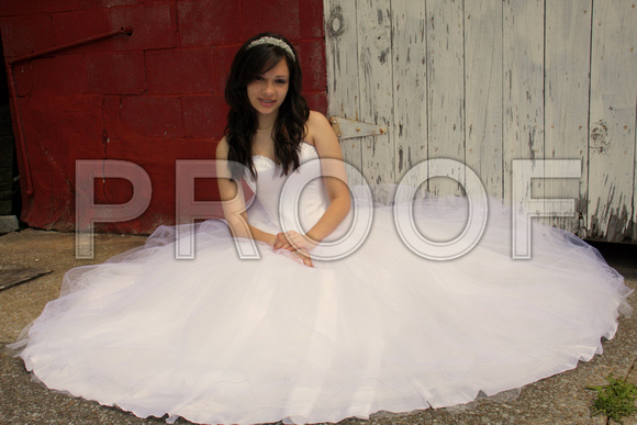 Beatriz Corrales Quinceanera by MomentsByMoser (293)
